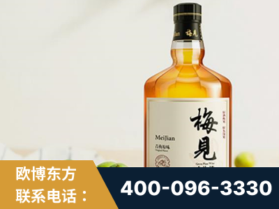 咸阳-梅见青梅酒